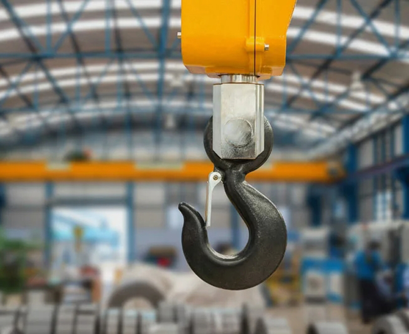 hoist hook
