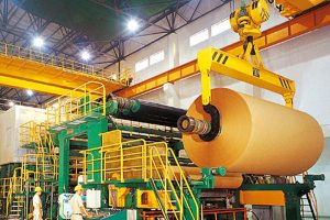crane spreader for paper mill