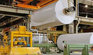 crane spreader for paper mill