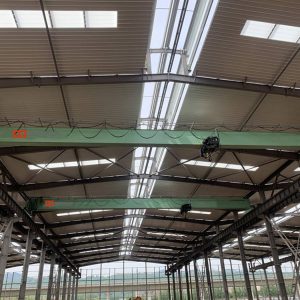 7 tons overhead crane