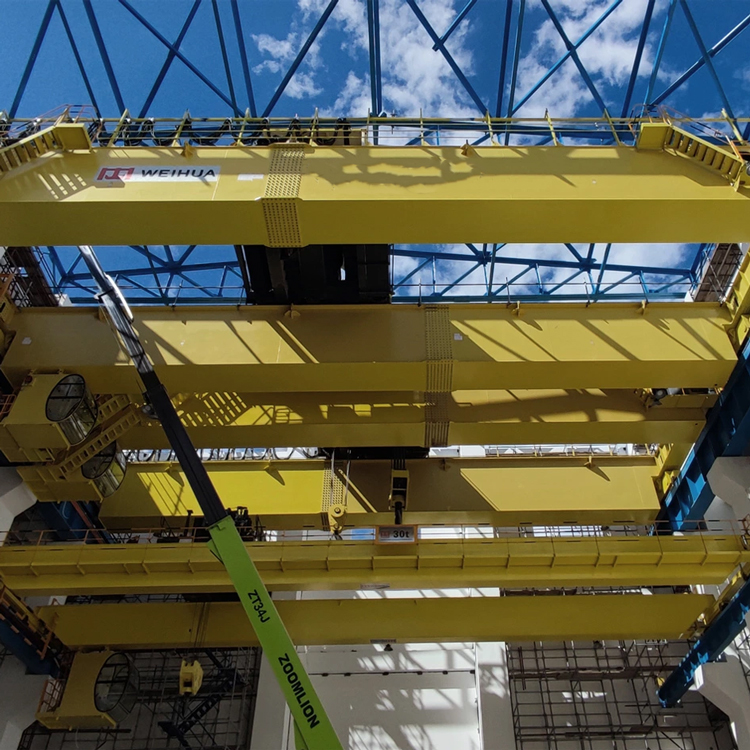 50 MT Double Girder EOT Crane