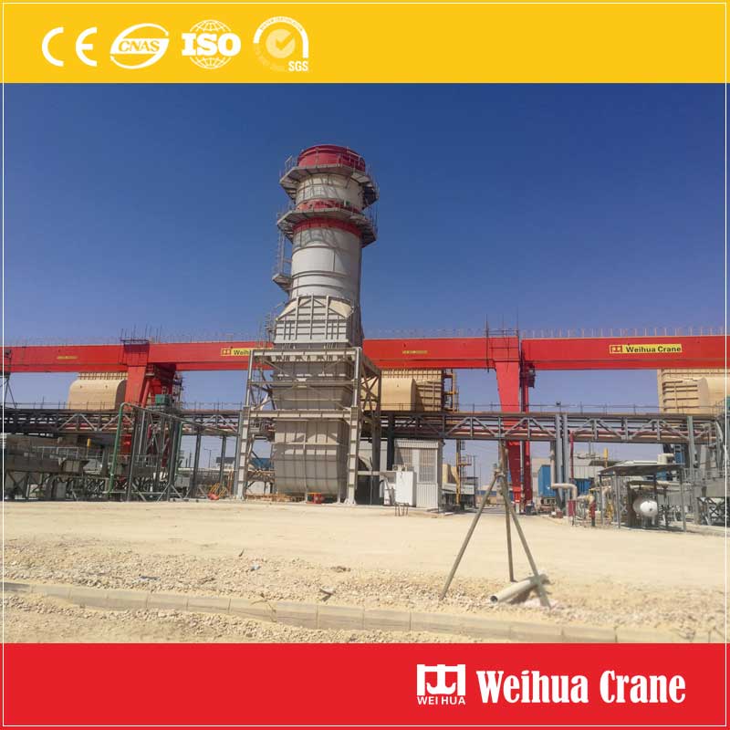 Egypt FEM standard double-girder gantry crane delivered for use